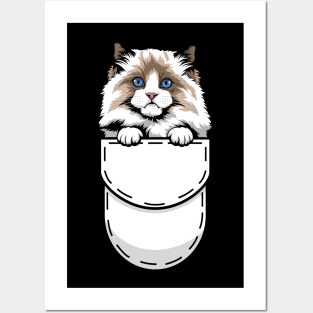 Funny Ragdoll Pocket Cat Posters and Art
